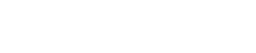 i-Port™Advance